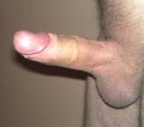 Avatar of user named "bumsprinz"