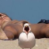 Avatar of user named "watercat"