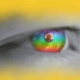 Avatar of user named "Search45"