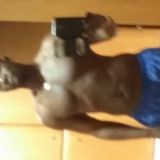 Avatar of user named "cadburys"