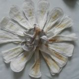 Avatar of user named "Menstruation"