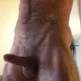 Avatar of user named "Hilarious"