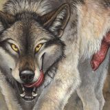 Avatar of user named "Kheffer"