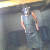 Avatar of user named "farmsluttrainer"