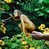 Avatar of user named "Game_of_Tongues"