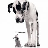 Avatar of user named "gory77"