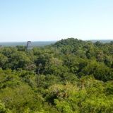 Avatar of user named "Pandoras"