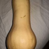 Avatar of user named "spermaspritzer64"