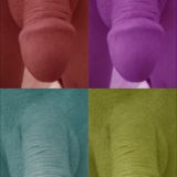 Avatar of user named "lummpy"