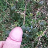 Avatar of user named "Manuel78"