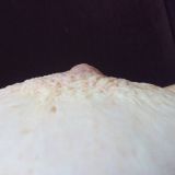 Avatar of user named "woletak"