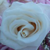 Avatar of user named "tootall26"