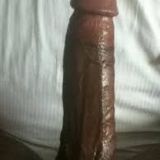 Avatar of user named "dante246"