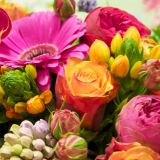 Avatar of user named "sexoholica"