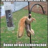 Avatar of user named "cumeater-40"