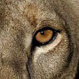 Avatar of user named "Marc_XXX"