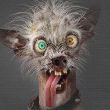 Avatar of user named "Linus50"