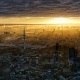 Avatar of user named "hamsteruser"