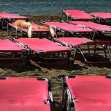 Avatar of user named "we71"