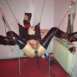 Avatar of user named "TVBBNutte"