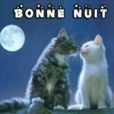 Avatar of user named "Romeo169"