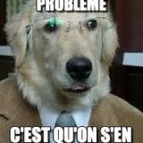 Avatar of user named "ggjj974"