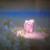 Avatar of user named "mittelhessenpaar"