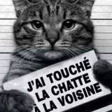 Avatar of user named "Aokiji"