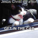 Avatar of user named "Ashmore"