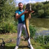 Avatar of user named "sprigan123"