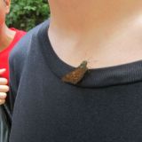 Avatar of user named "patrick60"