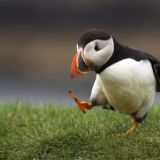 Avatar of user named "judy95"