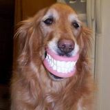 Avatar of user named "katharina1976"