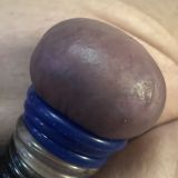 Avatar of user named "BlueBalls5311"