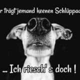 Avatar of user named "Petitjoyeux"