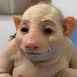 Avatar of user named "wirwollen22"