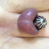 Avatar of user named "dani1612"