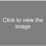 Avatar of user named "voyeur333"