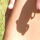 Avatar of user named "dragon_phoenix"