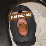 Avatar of user named "Schaamteloos"