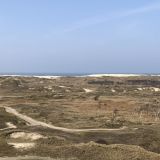 Avatar of user named "Dom-Cpl-SH"