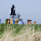 Avatar of user named "pimpel"