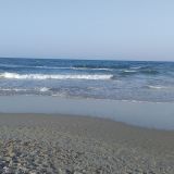 Avatar of user named "roco69"