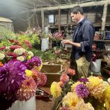 Avatar of user named "Bad_houses"