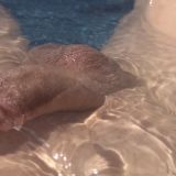 Avatar of user named "Sigutt"