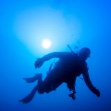 Avatar of user named "WassermannBay"