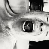 Avatar of user named "Wender"