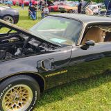 Avatar of user named "AverageMan1789"