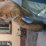 Avatar of user named "poorpeter123"