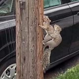 Avatar of user named "Alex045"